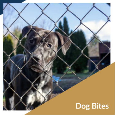 Alabama Dog Bite Lawyers
